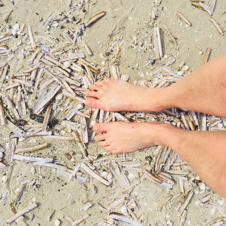 blote voeten op schelpen op starnd Schiermonnikoog tijdens reis klipper nova cura